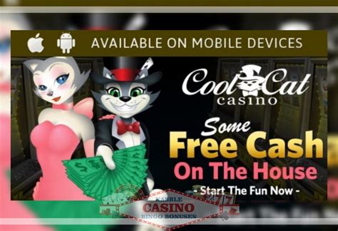 coolcat casino bonus|Instant Play Casino: No Download Needed .